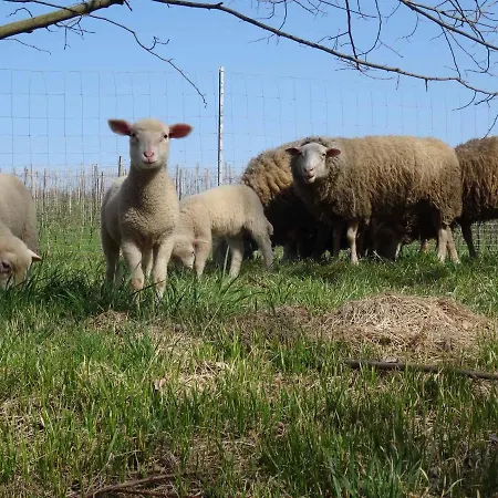 Biohof Buschmuehle * Konigsfeld (Mittelsachsen)