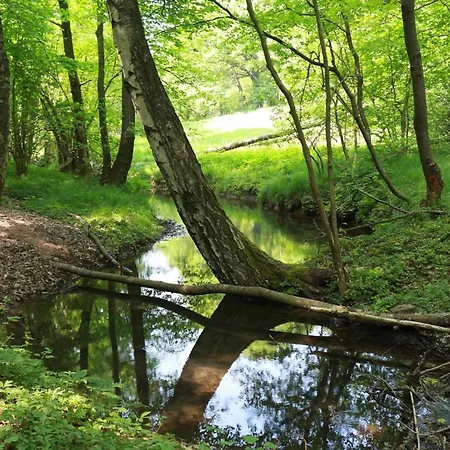 Biohof Buschmuehle * Konigsfeld (Mittelsachsen)