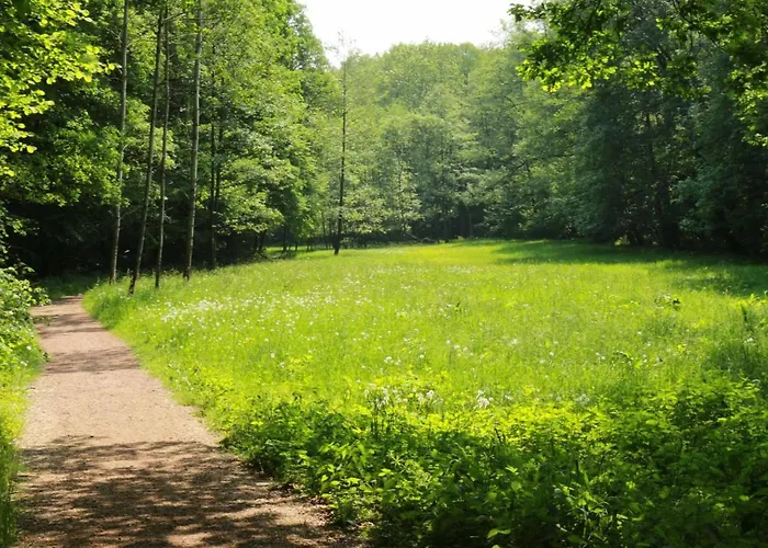 Biohof Buschmuehle Daire Konigsfeld (Mittelsachsen)